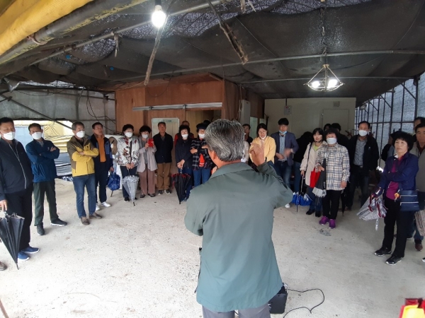 농업대학 샤인머스켓 과정 현장교육