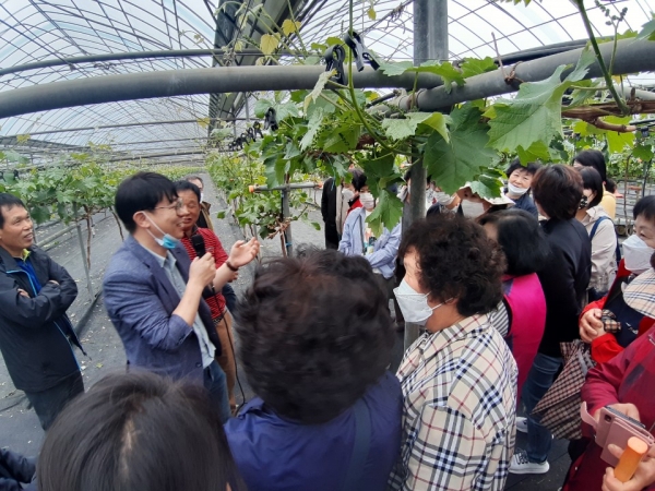 농업대학 샤인머스켓 과정 현장교육