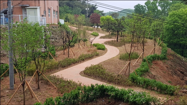 나눔숲 조성 사진