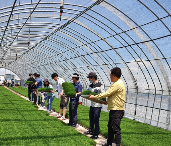 아산시청 도로과 직원이 모내기 작업을 하고 있다.