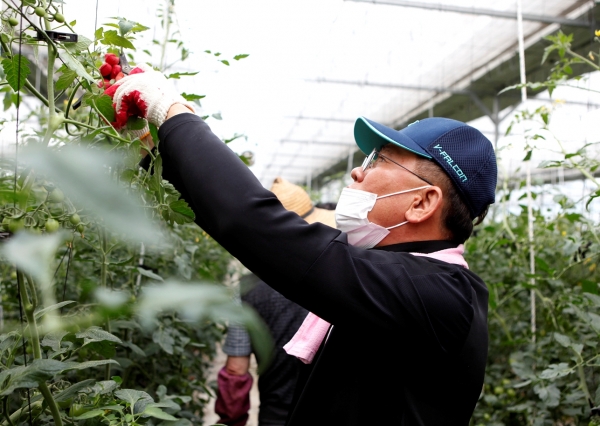 농촌 일손 돕는 배준석 세종도시교통공사 사장.