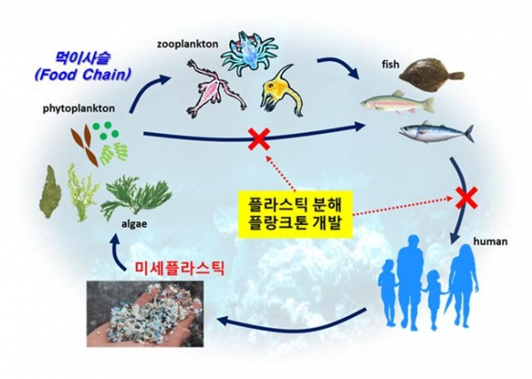 플라스틱 분해 플랑크톤 개발 기술 활용 모식도