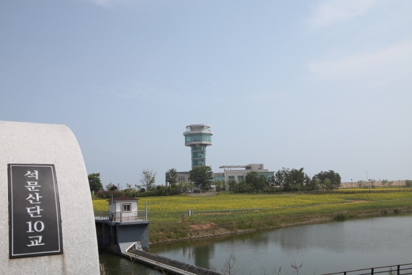 석문 유채꽃 경관단지