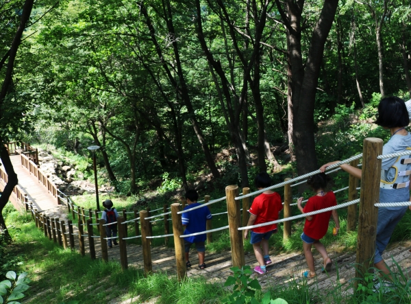 지난해 경북 영주시 봉현면 국립산림치유원에서 열린 ‘온드림 숲 속 힐링교실’에서 보호대상아동들이 산림치유 프로그램을 체험하고 있다