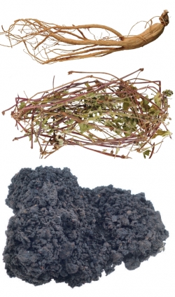 (위부터) 인삼, 현초, 건칠