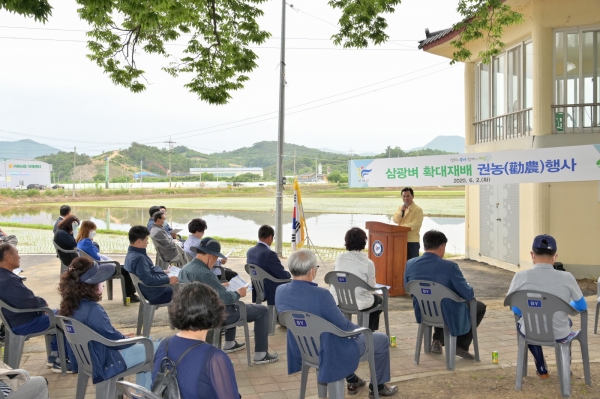 삼광벼 재배확대 권농행사 장면