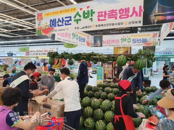 성남농협 예산수박 판촉행사 모습