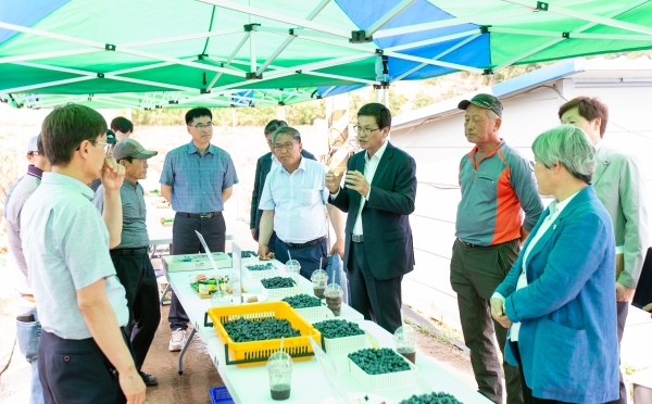 청양군 ‘칠갑산 솔잎 블루베리’ 품평회 개최