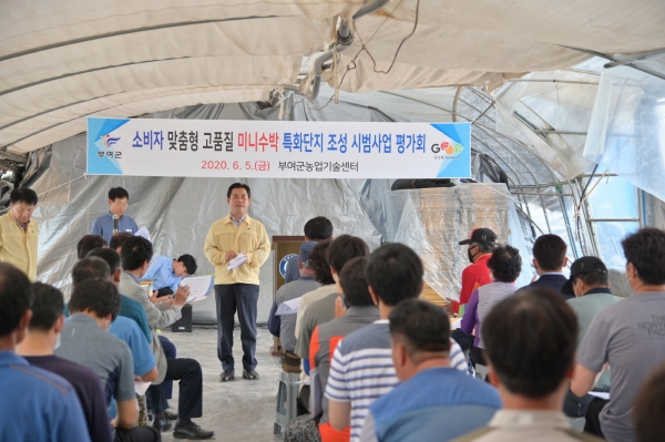 지난 5일 애플수박 평가회에서 인사말하고 있는 박정현 군수