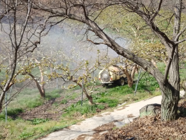 과수화상병 예방 방제 관련