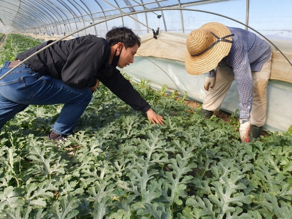 현장기술 지원 장면
