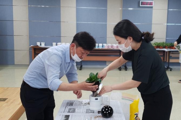 나만의 청렴반려식물 기르기 실시