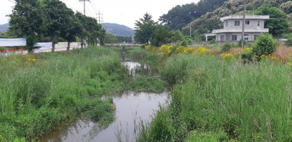지방하천 정비사업 공모 선정 - 청룡천