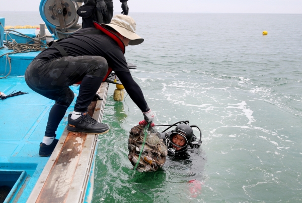 근흥면 꽃게 자연산란장 조성사업 모습.