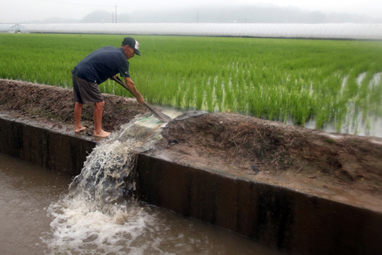 청양군, 장마철 철저한 농작물 관리 당부