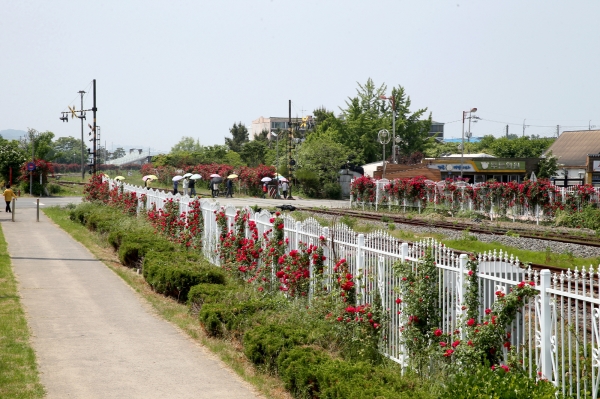 포스트코로나 대응 관광지 활성화 (향미여행 모습).