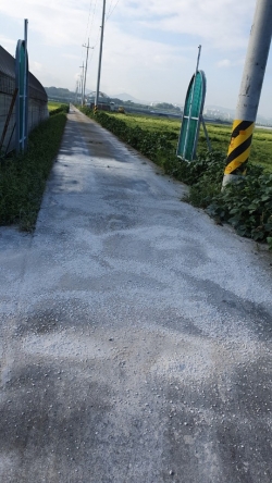 농장 출입구 생석회 도포사진