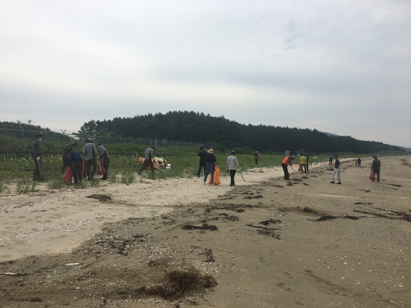 웅천 소황사구 환경 정화활동