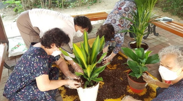 천안시농업기술센터의 찾아가는 생활원예 교실