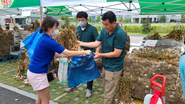 내포신도시에서 운영중인 충남농협 농특산물 직거래 목요장터에서 서산마늘 판촉행사