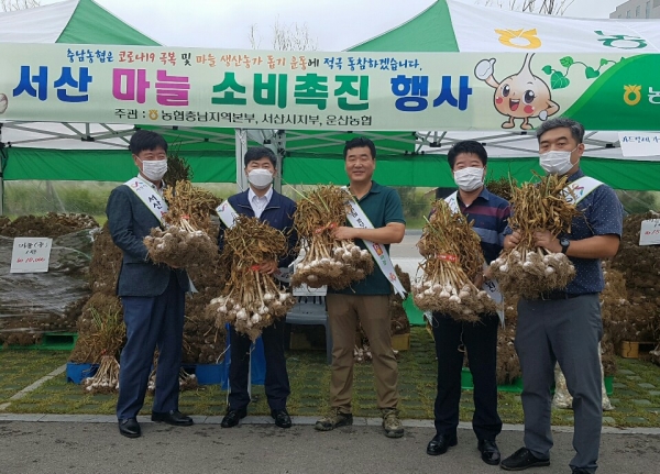 내포신도시에서 운영중인 충남농협 농특산물 직거래 목요장터에서 서산마늘 판촉행사