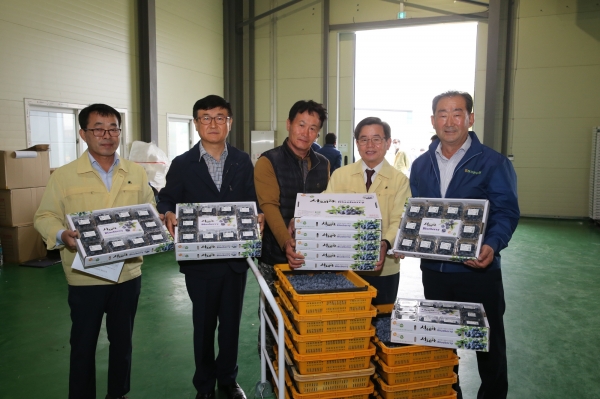 정책 현장체감 1일차 마산 블루베리 공동선별출하장