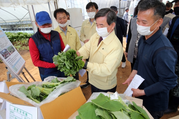 정책 현장체감 2일차 신규농업인 현장실습장