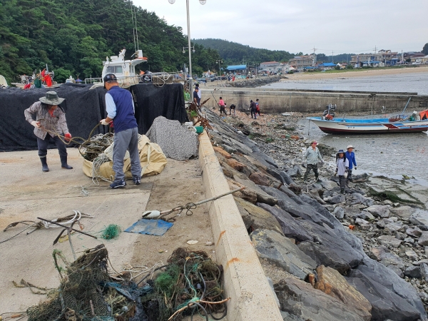 월하성항 일제 대청소 실시