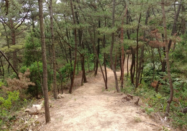 ‘백화산 둘레길’ 모습