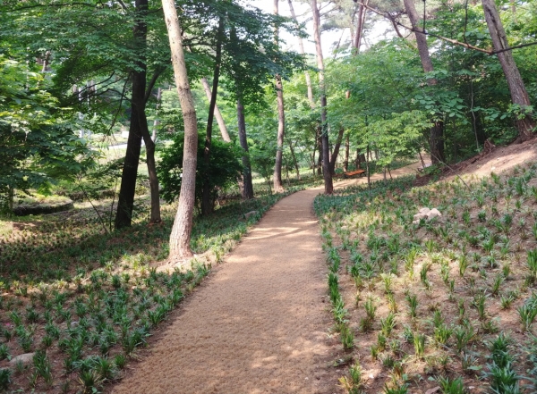 송림지구 테마길 모습.
