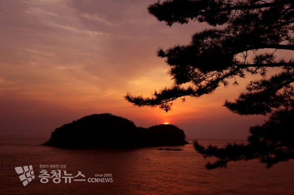 천리포수목원에서 바라본 노을 풍경