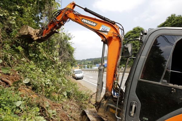 태안군, 도로변 ‘칡덩굴과의 전쟁’ 선포