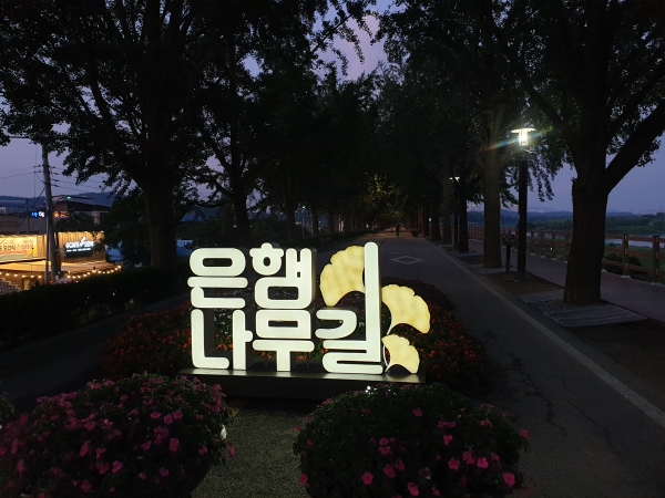 은행나무길 포토존 사진