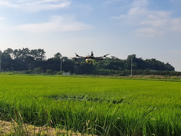 드론을 활용한 시비 사진