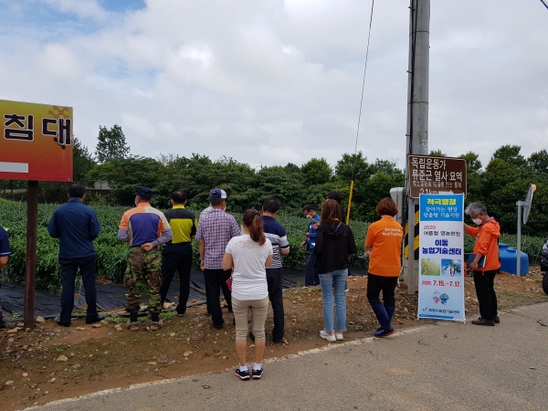 여름철 현장 맞춤형 이동 농업기술센터 운영 장면