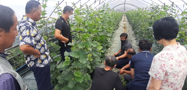 지난 15일 천안멜론농촌지도자회 회원 50여명을 대상으로 가을멜론 재배 및 토양관리 기술보급을 위한 과제교육을 진행하고 있다.