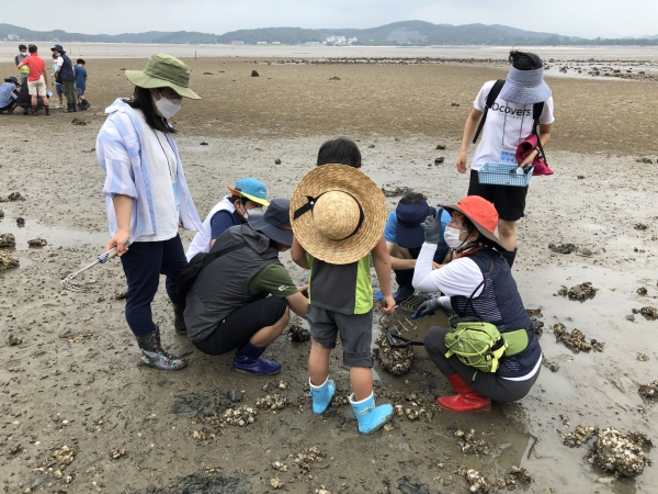 ‘갯벌·바다 덕분에’ 시범운영 모습