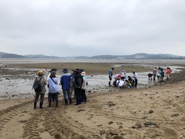 ‘갯벌·바다 덕분에’ 시범운영 모습