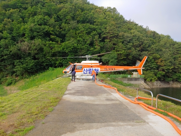 밤나무 항공방제 장면