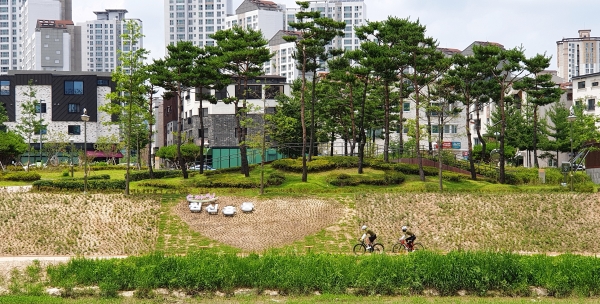 작은내수변공원 옆 진잠천 범면부에 조성된 ‘꽃단지 랜드마크’ 모습