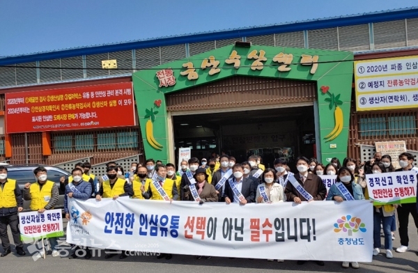 금산인삼 캠페인