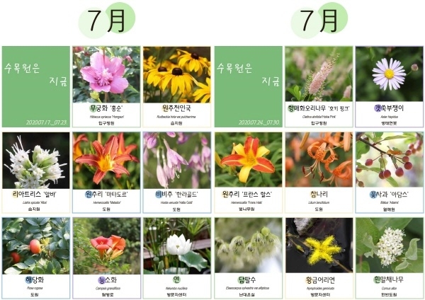 삼선수목원 이달의 식물 선정