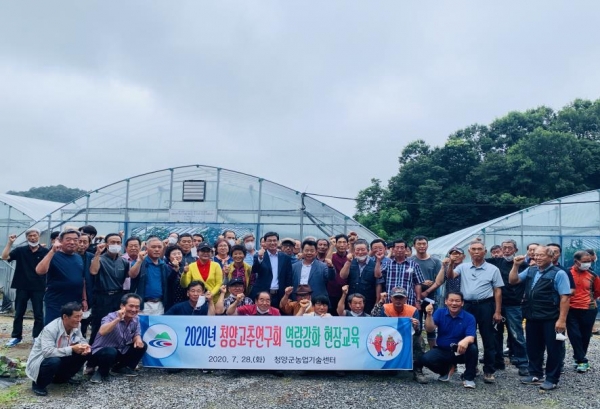 고추 생육단계 맞춤형 현장교육 실시