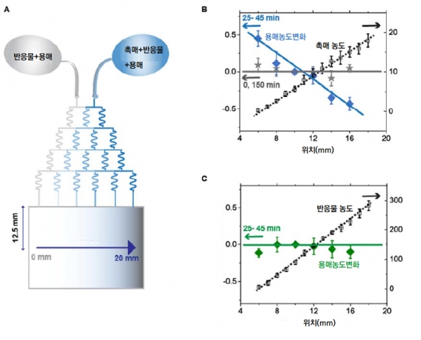 촉매 농도 기울기를 가진 미세유체칩과 용매 이동