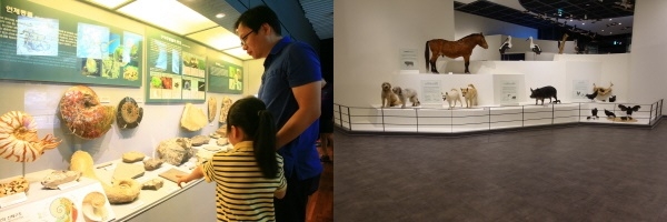 (좌) 지질박물관, (우) 천연기념물센터