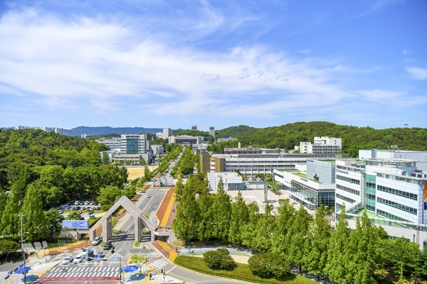 충남대학교 여름 전경
