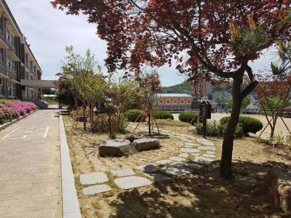 금산동초등학교에 조성된 명상숲