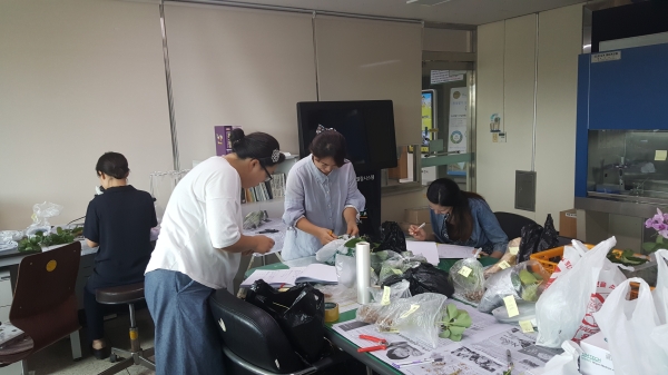 화아분화 및 병해충 점검