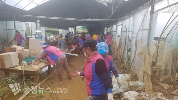 수해복구 자원봉사)