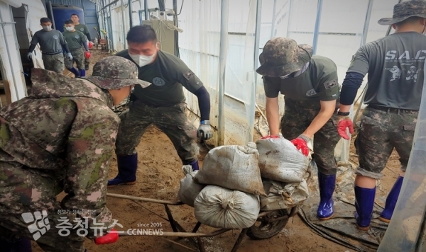 203특공여단 장병들이 천안시 북면에서 침수된 비닐하우스 복구지원을 실시하고 있다.